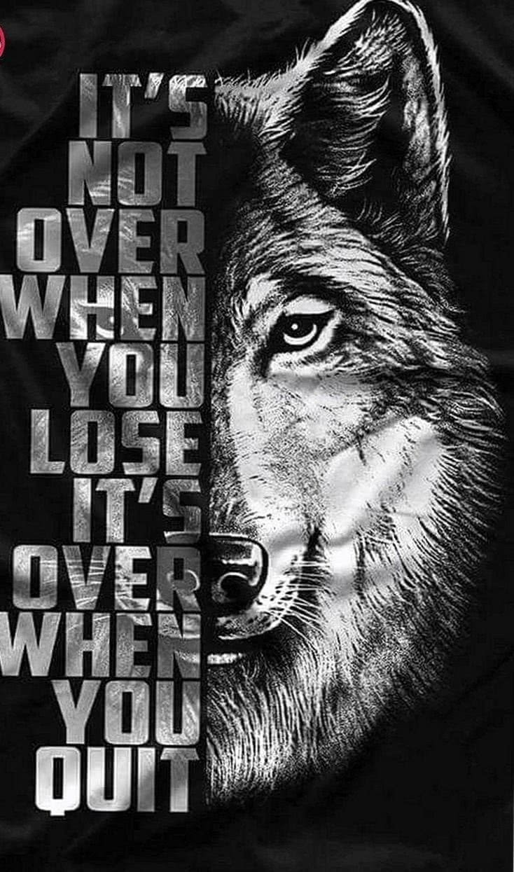 Wolf Wallpapers HD With Quotes