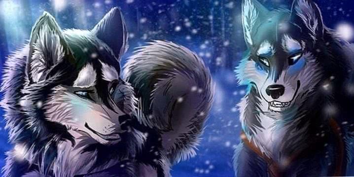 cartoon wolves wallpaper background image 5