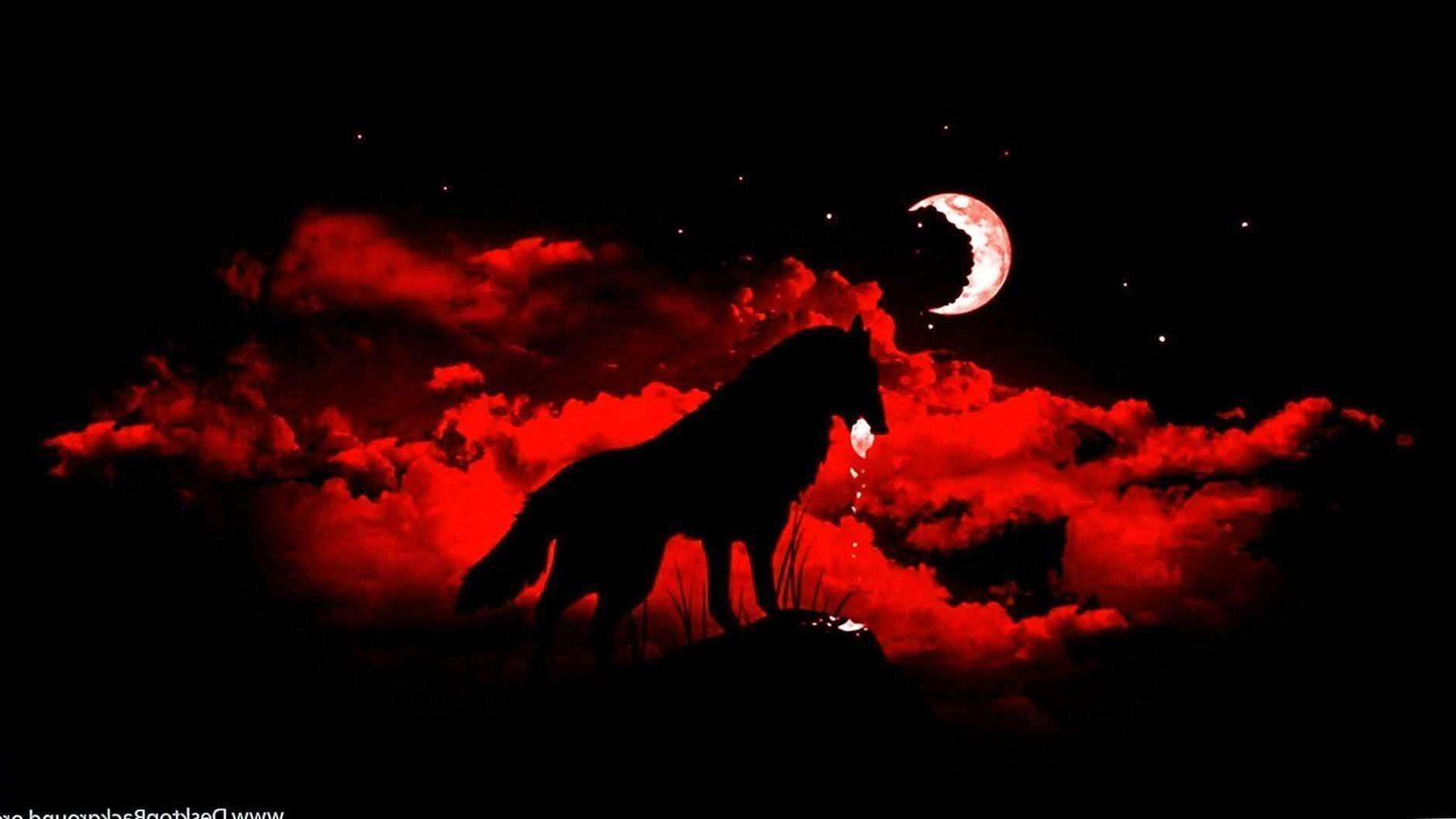 Blood Wolf HD Wallpapers