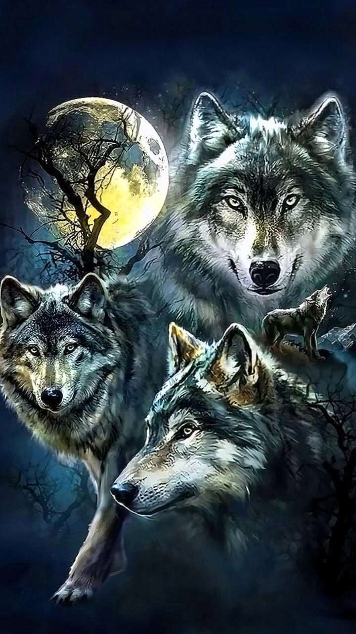 pack of wolves phone wallpaper background image 5