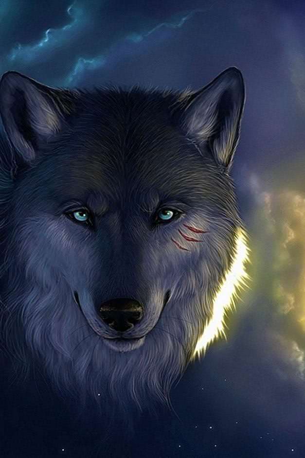 iPhone 5 Wallpapers HD Wolf