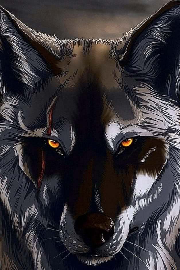 Black Wolf iPhone 6 Wallpapers