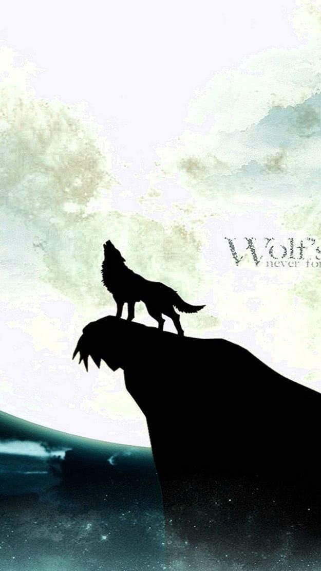 wolf hd wallpaper iphone 5 background image 4
