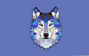 Wolf Head Mobile Wallpaper Image 1
