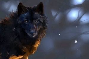 Wolf Wallpapers 3000x2000