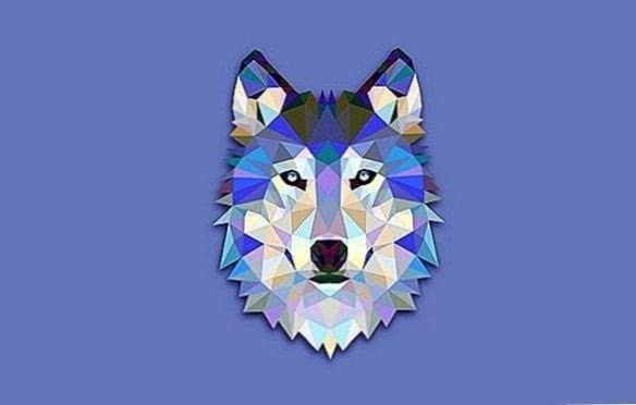 Wolf Head HD Wallpaper Image 1