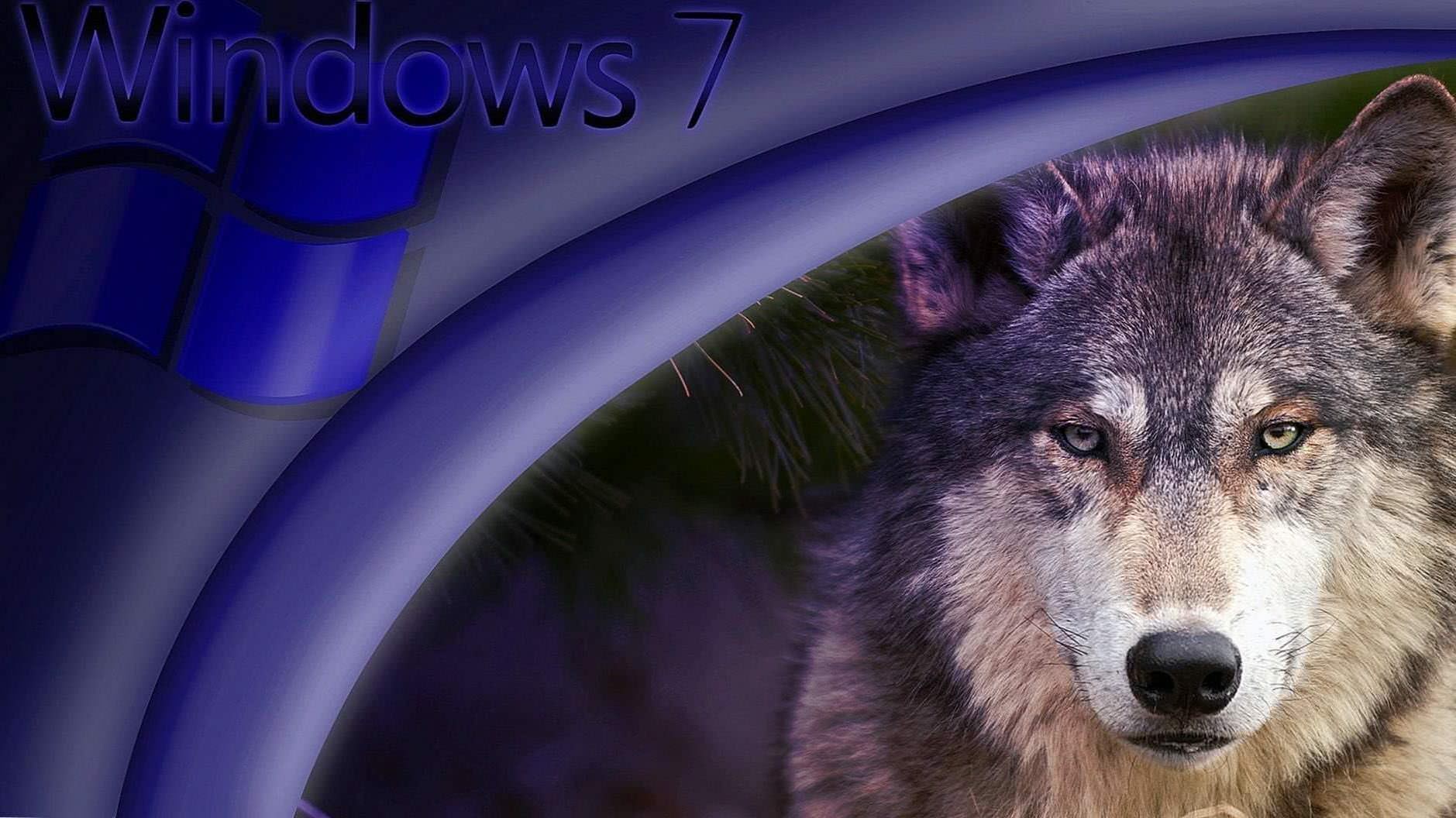 Windows 7 Wolf Wallpaper Image 2