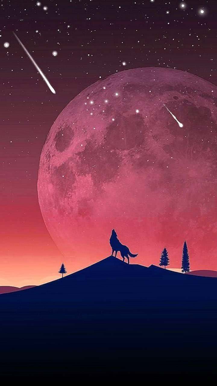 Night Wolf Wallpaper HD Image 1