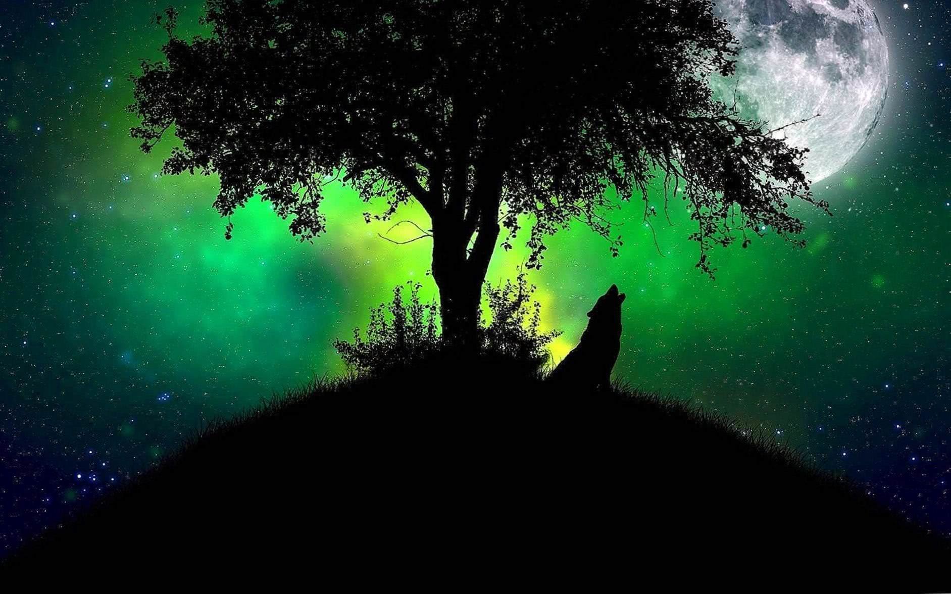 Green Wolf HD Wallpaper Image 1
