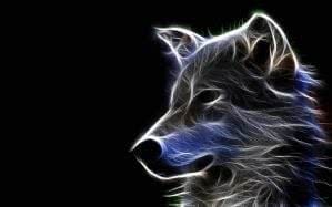 Cool HD Wallpaper Wolf Image 1