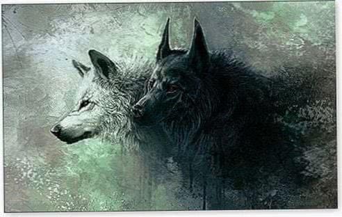 Wolf Wallpapers HD Widescreen