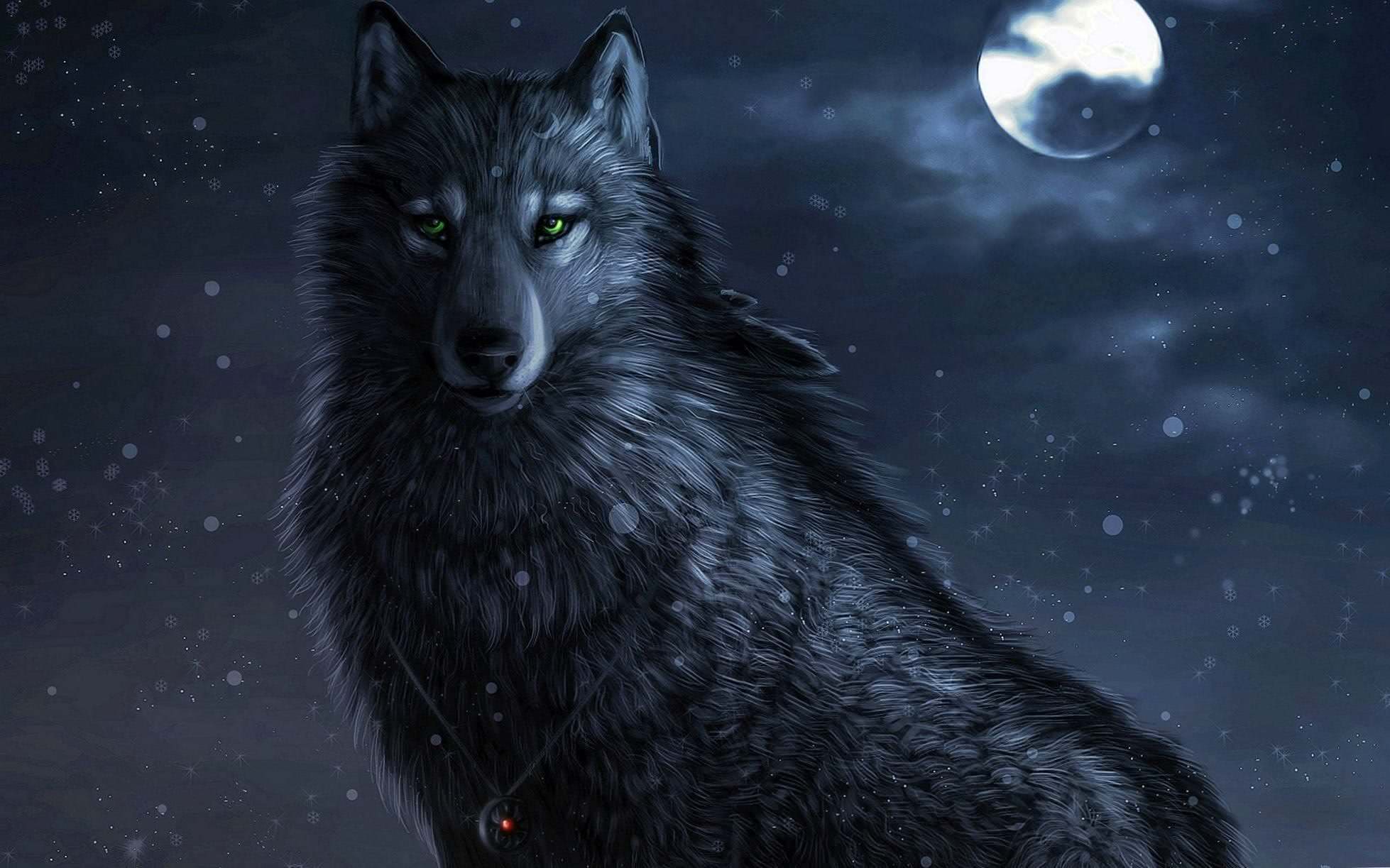 cool black wolf wallpaper hd background image 4