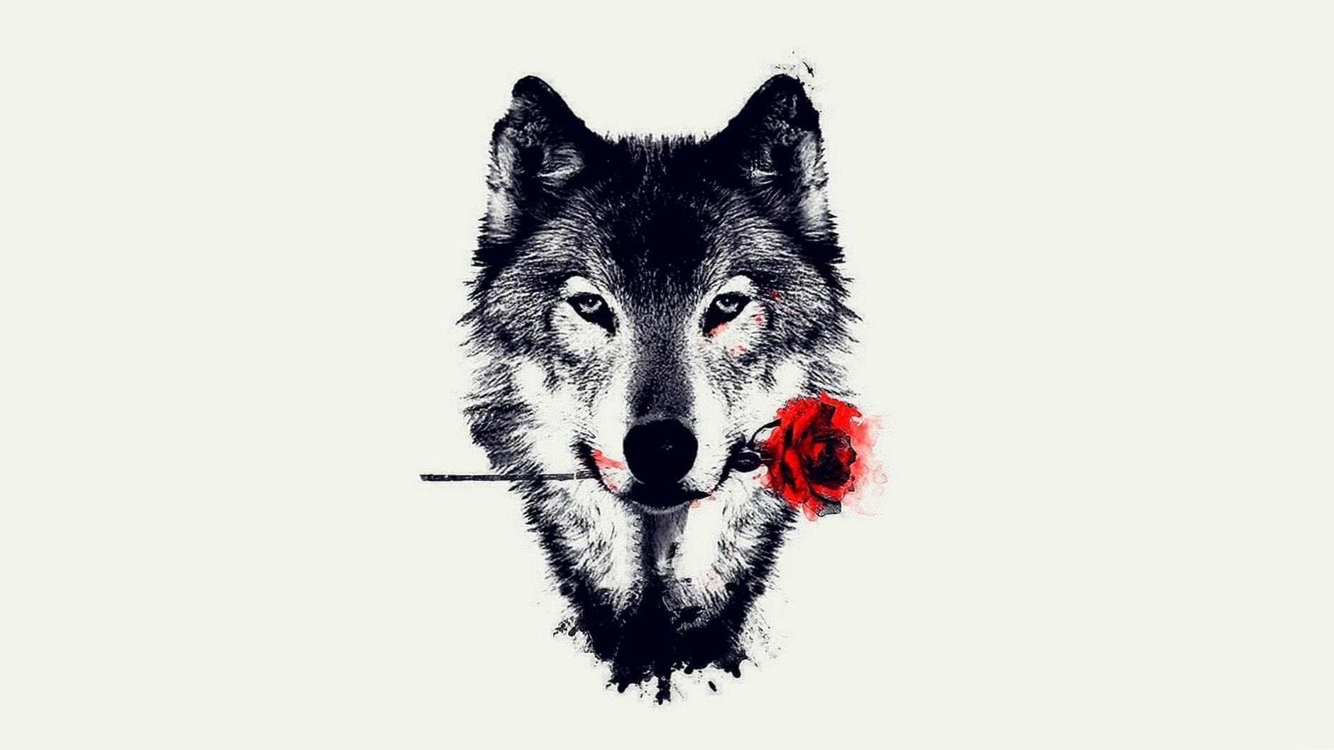 Wolf Wallpapers For Laptop