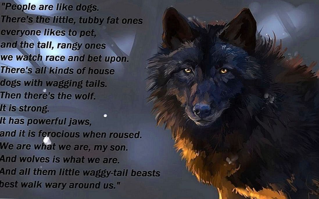 Wolves Quotes Wallpapers