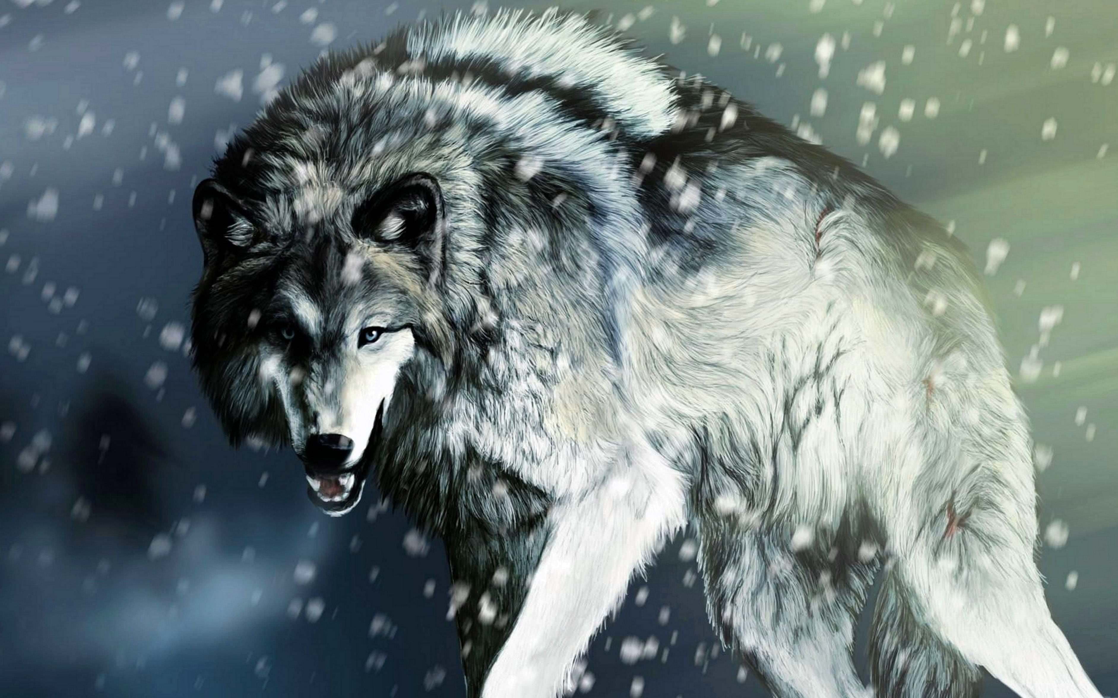 wolf snow ipad wallpaper background image 2
