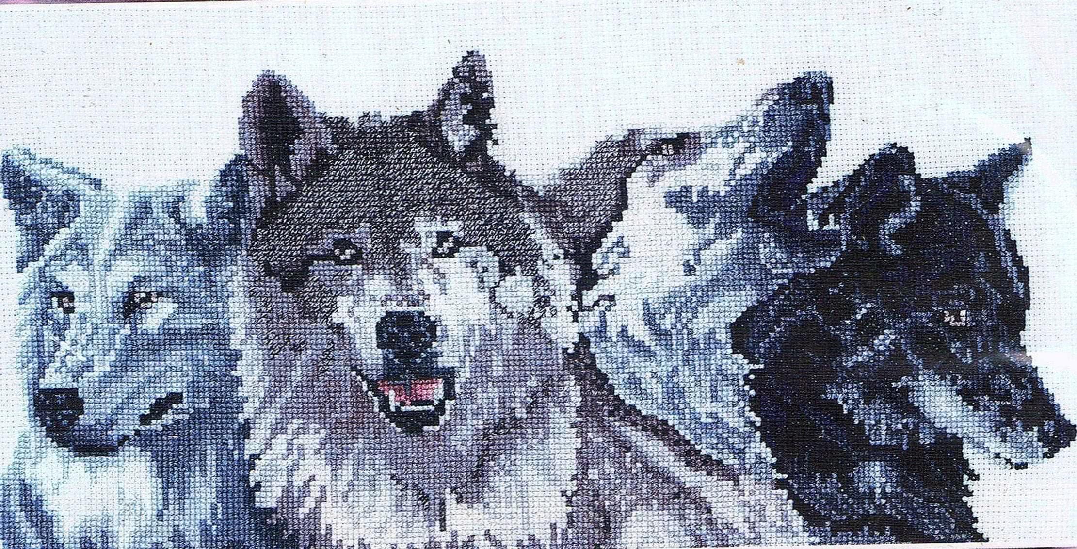 Wolf Pack Desktop Wallpapers