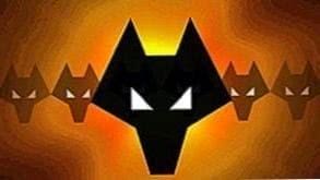 Wolves Fc Wallpapers App
