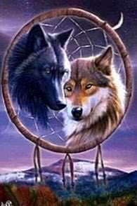 Wolf Dream Catcher Desktop Wallpapers