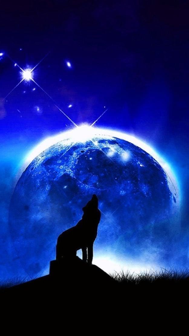 Wolf Howling iPhone Wallpapers