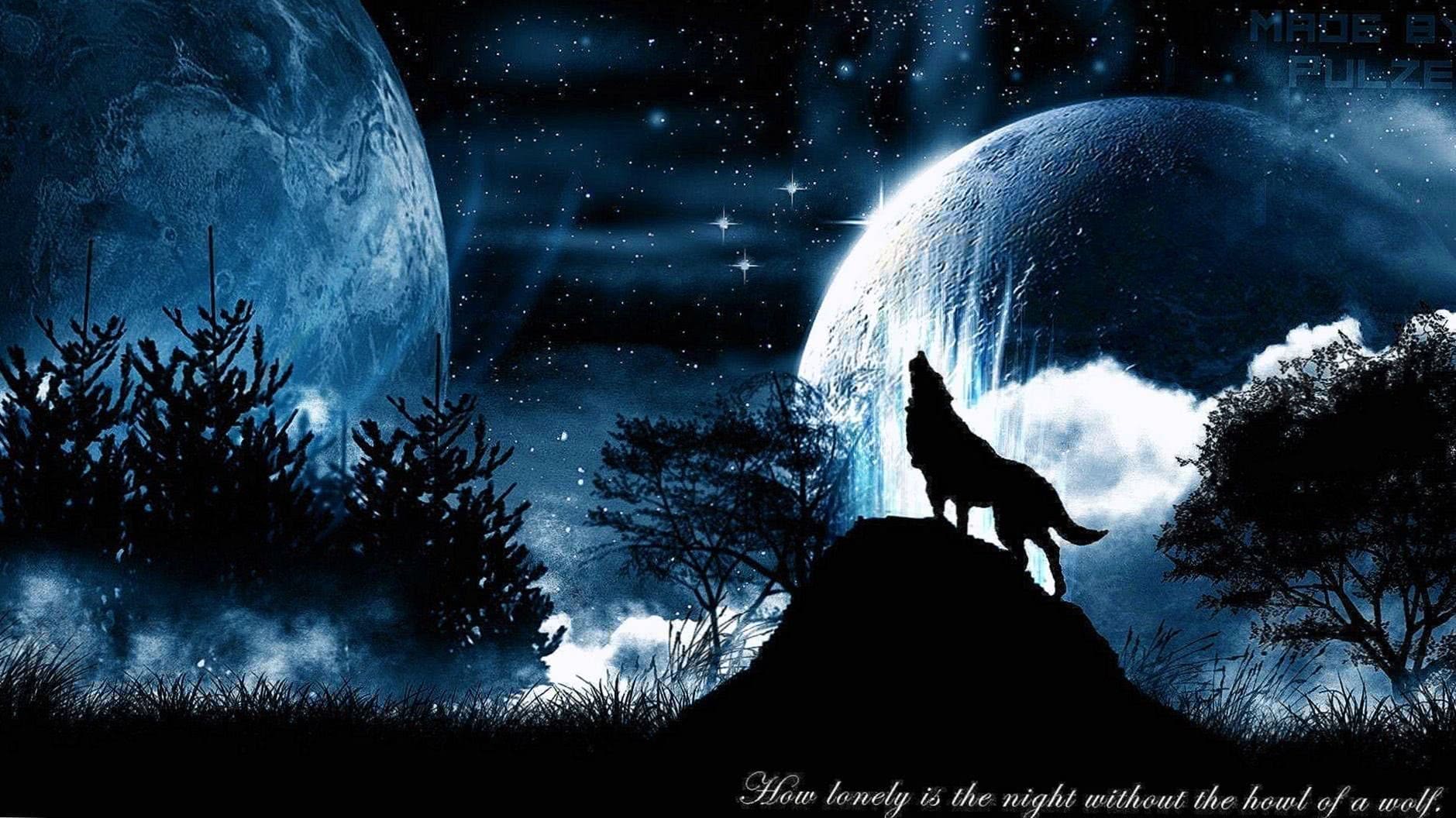 Wolf And Moon HD Wallpapers
