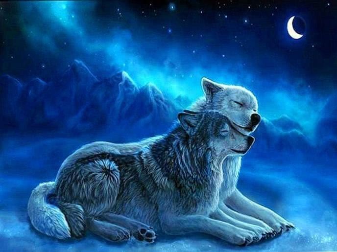 Wolf Lover Wallpapers