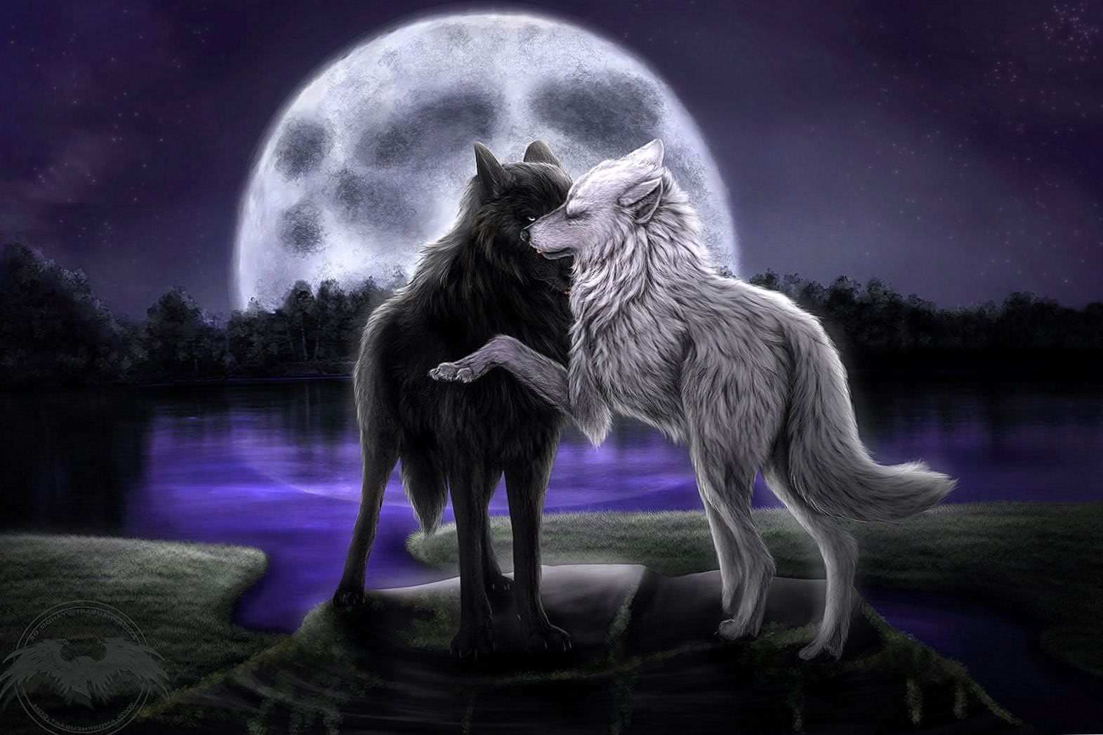 Wolf In Moonlight Wallpapers