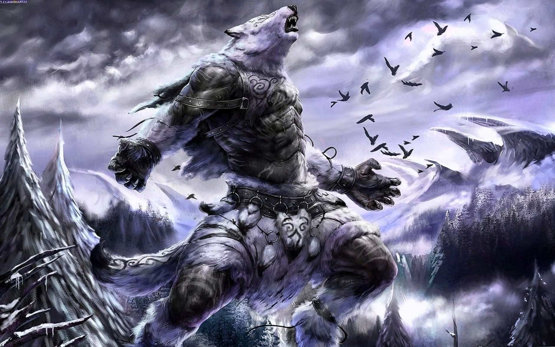 Wolf Warrior HD Wallpapers