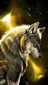 Yellow Wolf Wallpapers